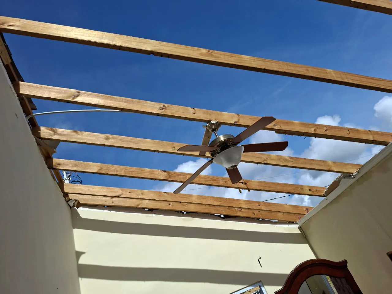 roofless.webp
